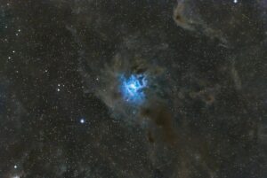 The Iris Nebula Neil Wilson